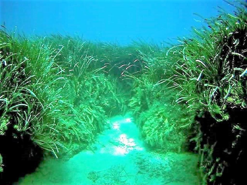 Апартаменты Sea Breeze Ena Korakochori Экстерьер фото